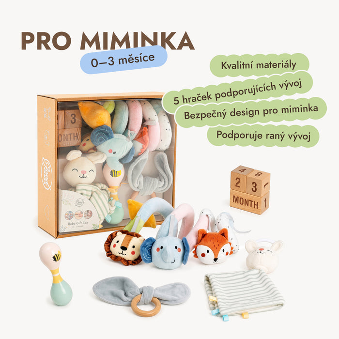 BabyBox — Herní sady pro první rok (0–12 měsíců)